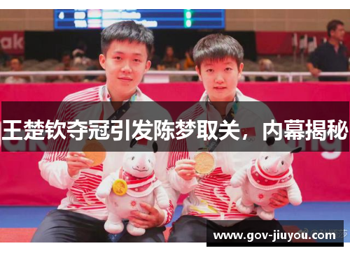 王楚钦夺冠引发陈梦取关，内幕揭秘