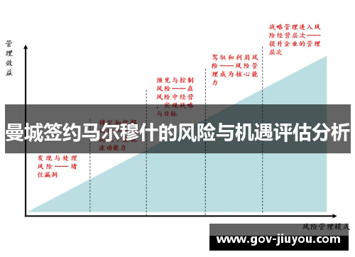 曼城签约马尔穆什的风险与机遇评估分析