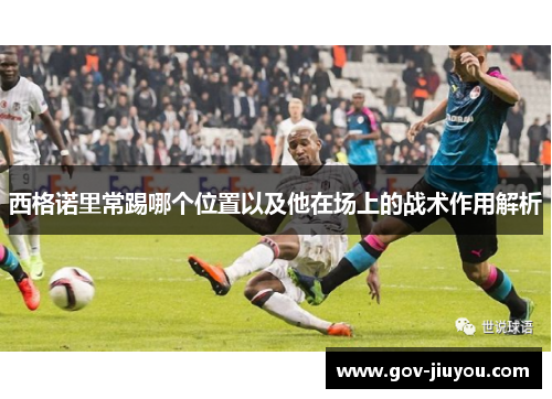 西格诺里常踢哪个位置以及他在场上的战术作用解析